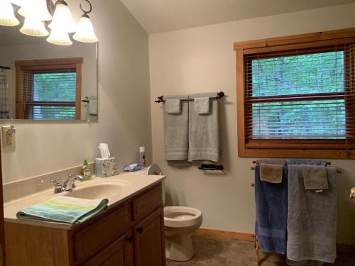 ein Badezimmer mit einem Waschbecken, einem WC und einem Spiegel in der Unterkunft Antler Ridge in Terra Alta