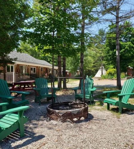 a group of green benches sitting around a fire pit at K!cking Mule Guest Ranch in Tehkummah