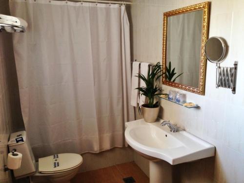 a bathroom with a sink and a toilet and a mirror at Hotel Carmen Teresa in Torremolinos