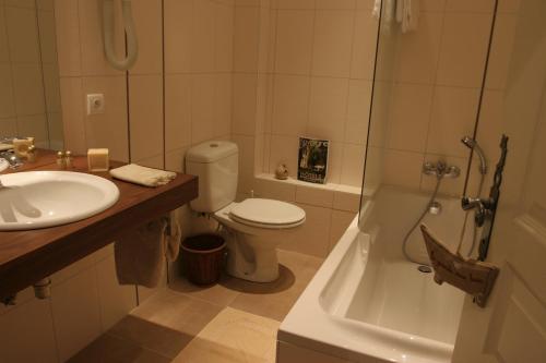 y baño con aseo, lavabo y ducha. en Castel Hotel 1904, en Saint-Gervais-dʼAuvergne