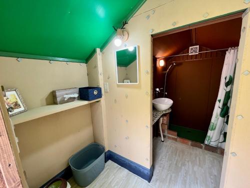 uma casa de banho com um tecto verde e um lavatório em Garden Shed R em Hokuto