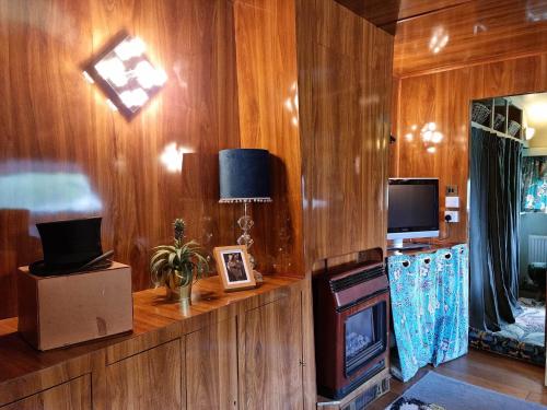 a living room with wood paneled walls and a television at Durham Donkey Rescue Showman's Wagon in Durham