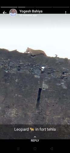 a screenshot of theoutube channel with a picture of a rock at Fort View Guest House - Sariska in Alwar
