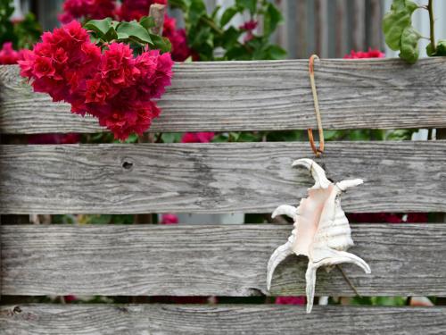 a seahorse ornament hanging on a bench with flowers at Ocean Villa Tin Gala in Onna