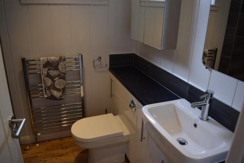 a bathroom with a white toilet and a sink at Tayview Lodges in Pitlochry