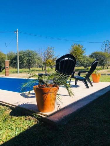 La Cerrillana – Photos 3
