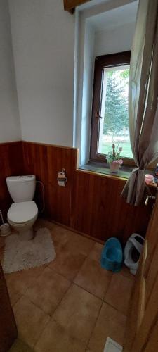 a bathroom with a toilet and a window at ŠulcBurg in Cetenov