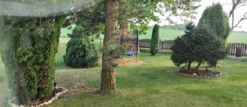 a view of a yard with trees and a fence at ŠulcBurg in Cetenov