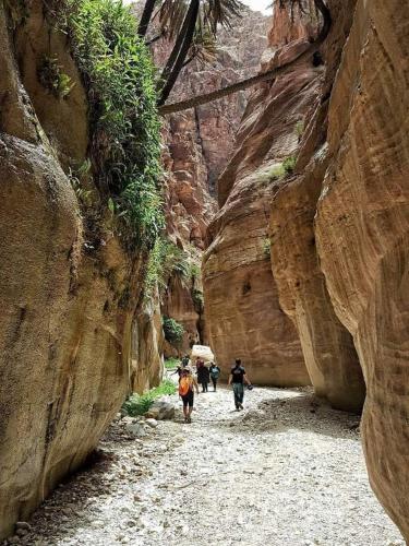 a group of people walking through a canyon at Dana Tower Hotel in Dana