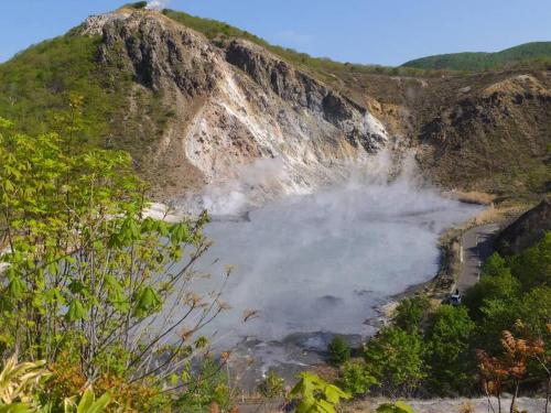 アパートメントの近くで見られる自然の景観