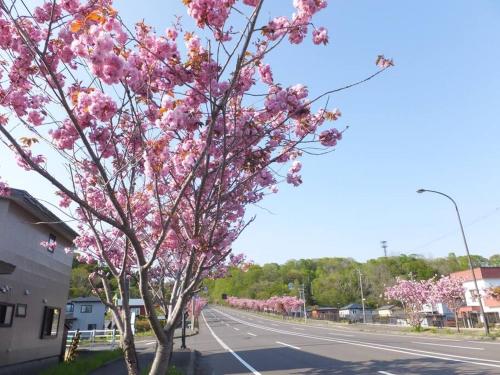 登別市にある登別市ログハウスのギャラリーの写真
