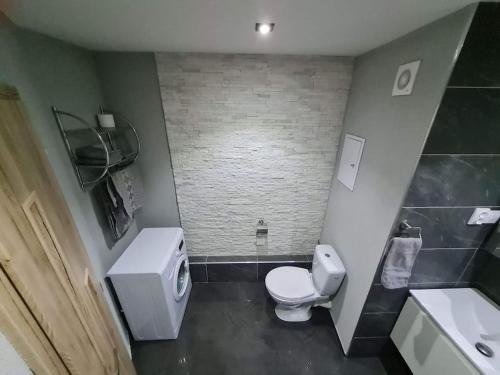 La salle de bains est pourvue de toilettes blanches et d'un lavabo. dans l'établissement apartman MI, à Michalovce