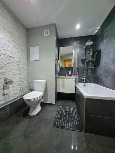 a bathroom with a toilet and a tub and a sink at apartman MI in Michalovce