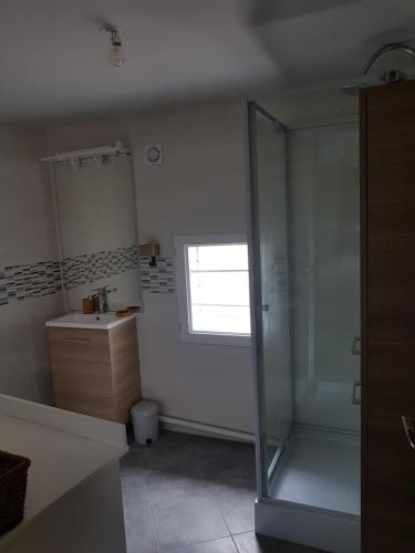 La salle de bains est pourvue d'une douche et d'un lavabo. dans l'établissement Le gite du fresne la samare, à Saint-Pierre-en-Val