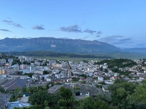 a view of a city with a mountain in the background at Jons Apartment in Gjirokastër