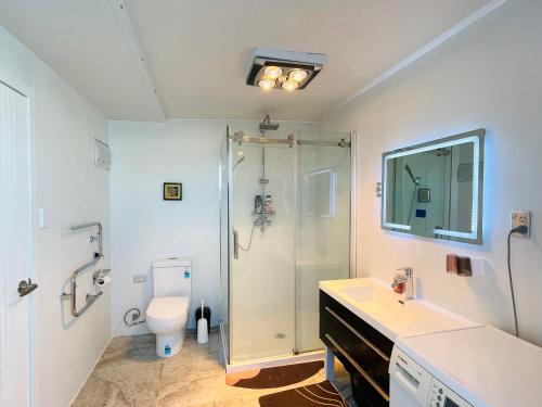 a bathroom with a shower and a toilet and a sink at Amber Hill B in Buckland