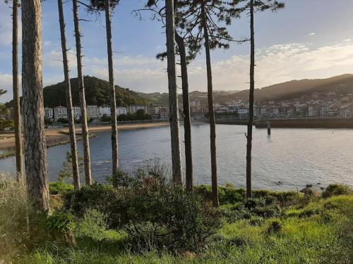 a view of a body of water with trees at La casa de Arantza con jardin y wifi in Ispáster