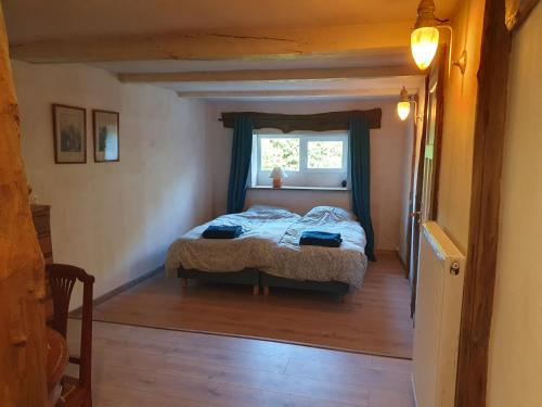 1 dormitorio con cama y ventana en Le Sanglier Sauvage, en Bussières-lès-Belmont