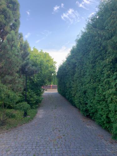 a cobblestone path between two hedges in a park at Willa 250 M z basenem, jacuzzi, ogrodem , tarasem oraz 2 hektary sadu , kominek i inne atrakcje in Buszkowice