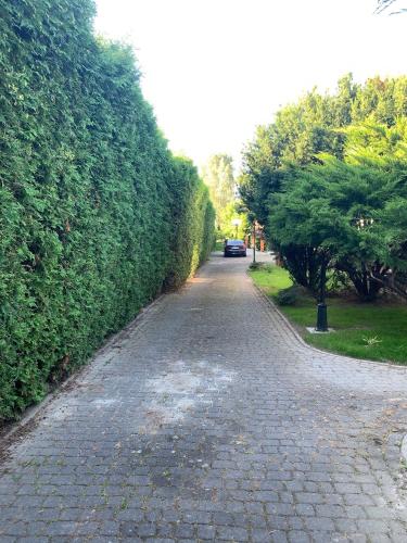 a cobblestone road with trees on either side of it at Willa 250 M z basenem, jacuzzi, ogrodem , tarasem oraz 2 hektary sadu , kominek i inne atrakcje in Buszkowice