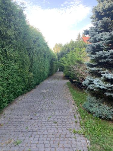 a cobblestone path in the middle of a park at Willa 250 M z basenem, jacuzzi, ogrodem , tarasem oraz 2 hektary sadu , kominek i inne atrakcje in Buszkowice