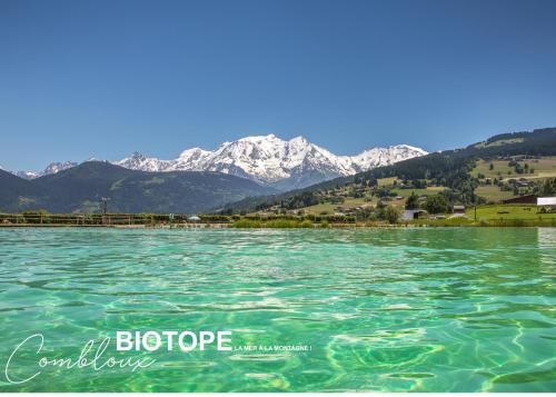 una vista del agua con montañas en el fondo en Chalet Alpen Valley, Mont-Blanc en Combloux