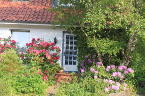 een huis met een bos bloemen ervoor bij Ferienwohnung Amselstieg Dr Meier in Bad Bevensen