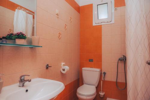 a bathroom with a toilet and a sink and a shower at Dionysos Rooms in Olympiaki Akti