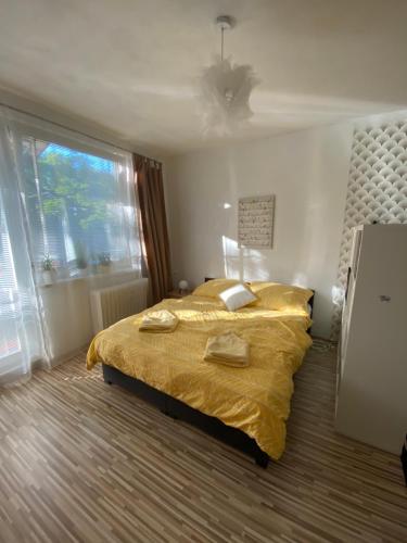 a bedroom with a bed and a large window at Apartment city centrum in Nitra