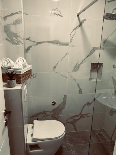 a bathroom with a toilet and a shower at Apartments Mrdak in Bar