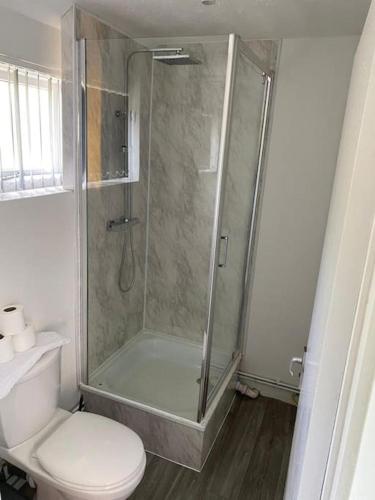 a bathroom with a shower and a toilet at Belle Vue in Pontnewynydd