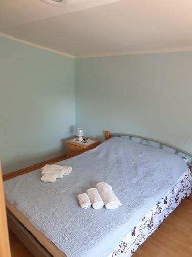 a bedroom with a bed with two towels on it at OLIVA DOM Čista Mala in Mala Čista