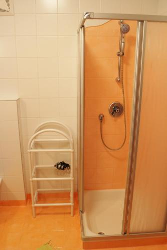 a shower in a bathroom with a stand up shower at Familienparadies Reichenhauser in Keutschach am See