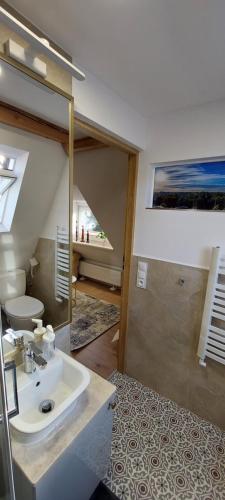 a bathroom with a sink and a toilet at Rejtana 10 Apartment attic in Koszalin