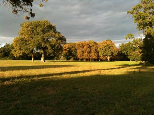 un champ d'herbe planté d'arbres en arrière-plan dans l'établissement Gites dans le parc classé du Martreil, à Sainte-Christine