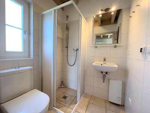 ein Bad mit einer Dusche, einem WC und einem Waschbecken in der Unterkunft Strandpark Sierksdorf H091 in Sierksdorf