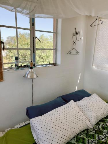 Gallery image of Eins Art Studios in Omaruru