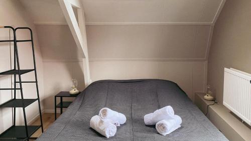 een slaapkamer met een bed met handdoeken erop bij Cozy home Sint Philipsland with 2 bathrooms in Sint Philipsland