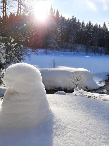 a snow covered path with the sun in the background at Ferienhaus Rosemarie Erlbach Vogtland in Erlbach