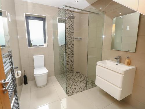a bathroom with a shower and a toilet and a sink at Appletree Cottage in Fordingbridge