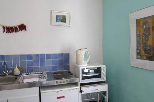 une petite cuisine avec un micro-ondes et un évier dans l'établissement Mia Casa - Orient - Charming & central room, à Arles