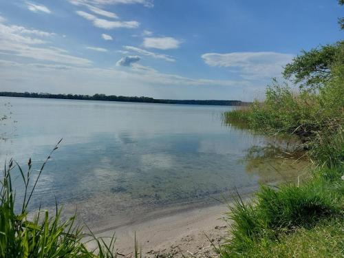 a large body of water with trees in the distance at Ferienhaus Flessenow am Schweriner See in Flessenow