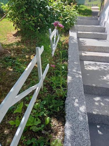 Zahrada ubytování Kuća za odmor Ravne H&N