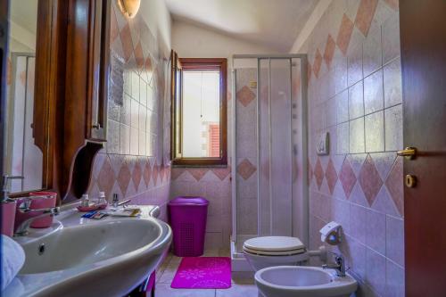 y baño con lavabo, aseo y ducha. en Agriturismo Il Roseto, en Marina di Grosseto