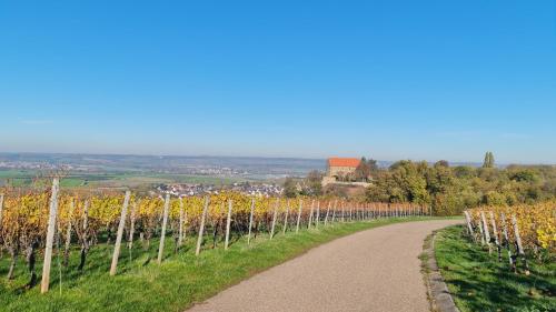 a dirt road lined with trees on a hill at Villa unter dem Schloss in Cleebronn