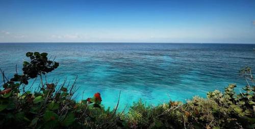 a view of the ocean with a red object in the water at Frenchman's Cove Resort in Port Antonio