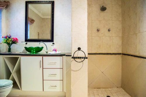 a bathroom with a shower and a sink at Shangrila-innibos Country Lodge in Hartbeespoort