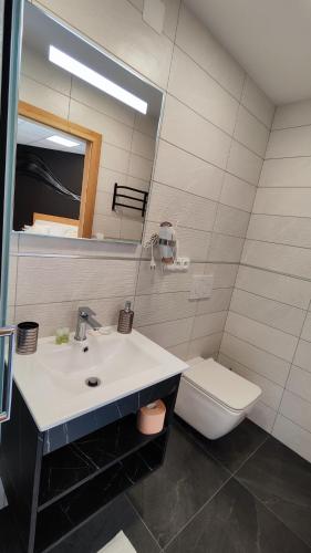 a bathroom with a sink and a toilet at Apartmány Dačice in Dačice
