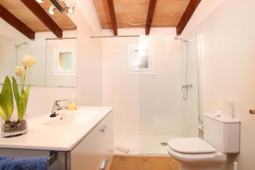 y baño con aseo, lavabo y ducha. en Villa Porqueres, en Pollensa