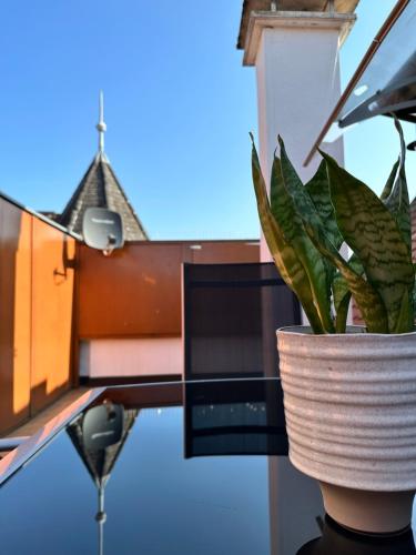 a plant in a pot next to a desk at AMAO Green - City Center - Penthouse Maisonette - 90 m2 - 8 Guests - Rooftop Terrace - King-Size Beds in Lahr